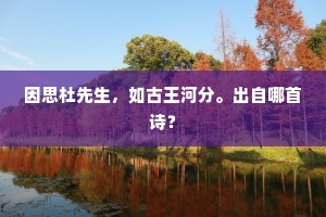 因思杜先生，如古王河分。出自哪首诗？