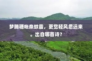 梦腾穗帐奈蚊雷，更觉轻风忽远来。出自哪首诗？