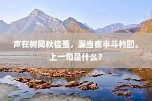 声在树间秋信蚤，漏当夜半斗杓回。上一句是什么？