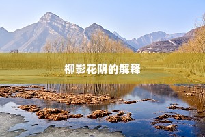 柳影花阴的解释