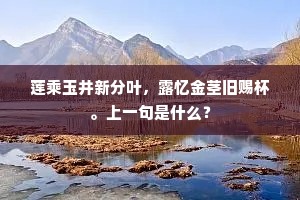 莲乘玉井新分叶，露忆金茎旧赐杯。上一句是什么？