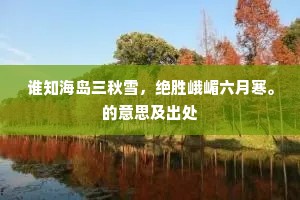谁知海岛三秋雪，绝胜峨嵋六月寒。的意思及出处