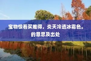 宝物惊看买难得，炎天冷透冰霜色。的意思及出处