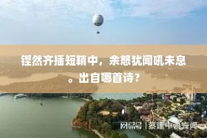 铿然齐插短鞘中，余怒犹闻吼未息。出自哪首诗？