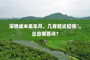 深镌咸丰某年月，几肯轻试韬锋铓。出自哪首诗？