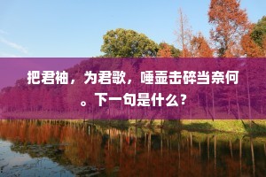 把君袖，为君歌，唾壶击碎当奈何。下一句是什么？