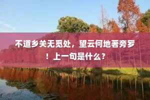 不道乡关无觅处，望云何地著旁罗！上一句是什么？