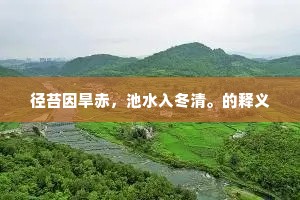 径苔因旱赤，池水入冬清。的释义