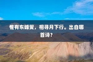 惟有东峰叟，相寻月下行。出自哪首诗？