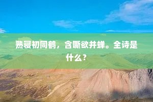 熟寝初同鹤，含嘶欲并蝉。全诗是什么？
