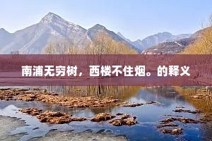 南浦无穷树，西楼不住烟。的释义