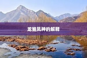 龙雏凤种的解释