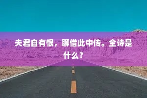 夫君自有恨，聊借此中传。全诗是什么？