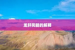 龙肝凤髓的解释