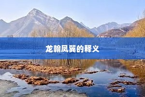 龙翰凤翼的释义