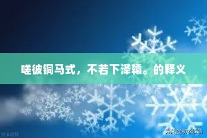 嗟彼铜马式，不若下泽辕。的释义