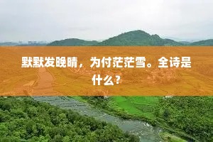 默默发晚晴，为付茫茫雪。全诗是什么？
