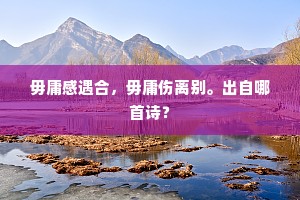 毋庸感遇合，毋庸伤离别。出自哪首诗？