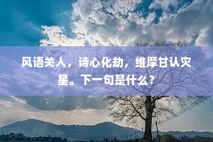 风语关人，诗心化劫，维摩甘认灾星。下一句是什么？