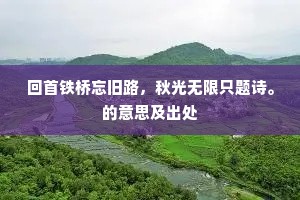 回首铁桥忘旧路，秋光无限只题诗。的意思及出处