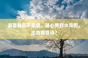 湖面黏天不见堤，湖心茭葑水周围。出自哪首诗？