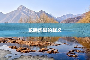 龙腾虎踯的释义