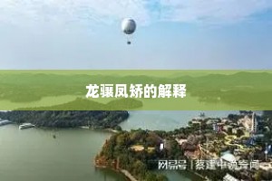 龙骧凤矫的解释