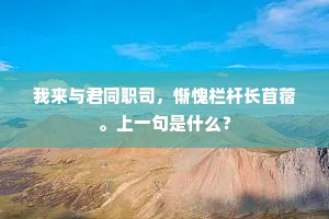 我来与君同职司，惭愧栏杆长苜蓿。上一句是什么？