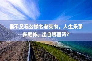 君不见毛公檄书老莱衣，人生乐事在庭帏。出自哪首诗？