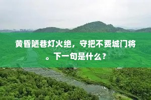 黄昏陋巷灯火绝，守把不费城门将。下一句是什么？