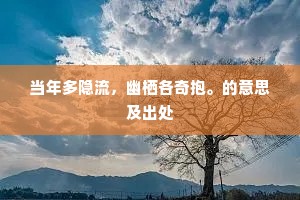 当年多隐流，幽栖各奇抱。的意思及出处