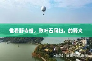 惟看野寺僧，败叶石间扫。的释义