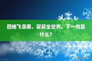 四檐飞急雨，寂寂坐空齐。下一句是什么？