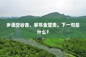 乡语空谷音，家书金璧羡。下一句是什么？