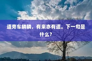 道旁车辚辚，有来亦有遣。下一句是什么？