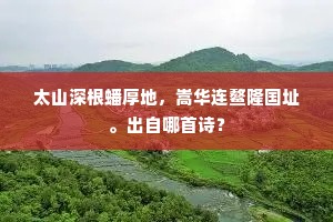 太山深根蟠厚地，嵩华连鳌隆国址。出自哪首诗？