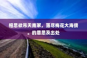 相思欲吊天南冢，落尽梅花大海傍。的意思及出处