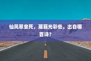 仙凤翠皇死，葳蕤光彩低。出自哪首诗？
