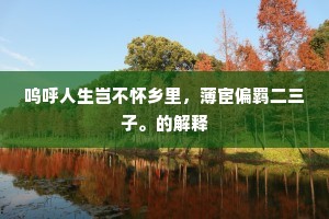 呜呼人生岂不怀乡里，薄宦偏羁二三子。的解释