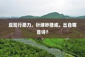 应现行愿力，针缕妙措成。出自哪首诗？