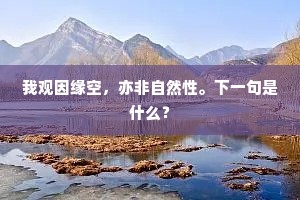 我观因缘空，亦非自然性。下一句是什么？