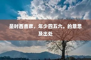 是时西曹彦，年少四五六。的意思及出处