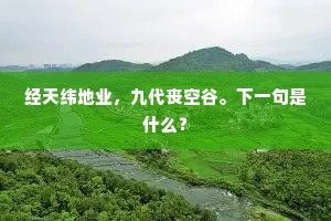 经天纬地业，九代丧空谷。下一句是什么？