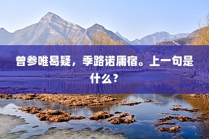 曾参唯曷疑，季路诺庸宿。上一句是什么？