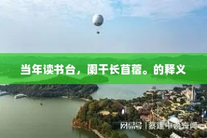 当年读书台，阑干长苜蓿。的释义