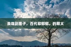 良哉副墨子，百代称郁郁。的释义