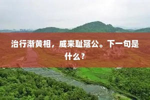 治行渐黄相，威来耻寇公。下一句是什么？
