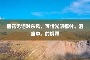 落花无语对东风，可惜光阴都付、泪痕中。的解释