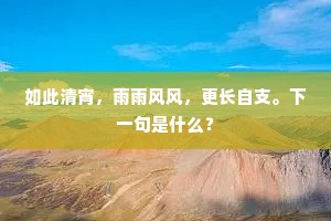 如此清宵，雨雨风风，更长自支。下一句是什么？