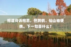 相逢待诉相思，但跨鹤、仙山袖便携。下一句是什么？